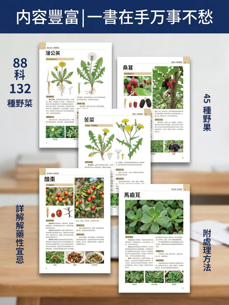 【不吃藥百病消】野菜野果圖鑑