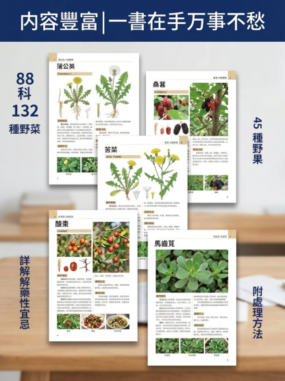 【不吃藥百病消】野菜野果圖鑑
