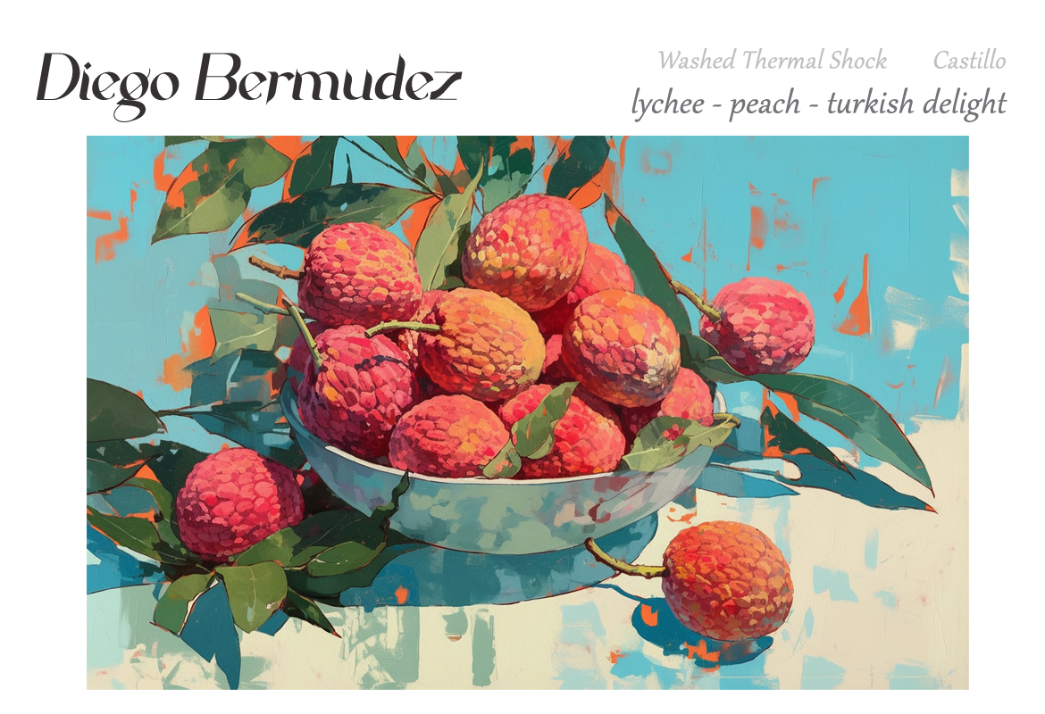 🇨🇴 哥倫比亞Diego Bermúdez 