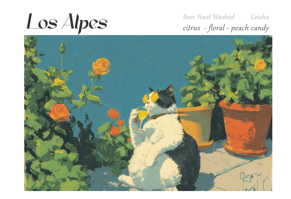 🇨🇴哥倫比亞 Los Alpes 