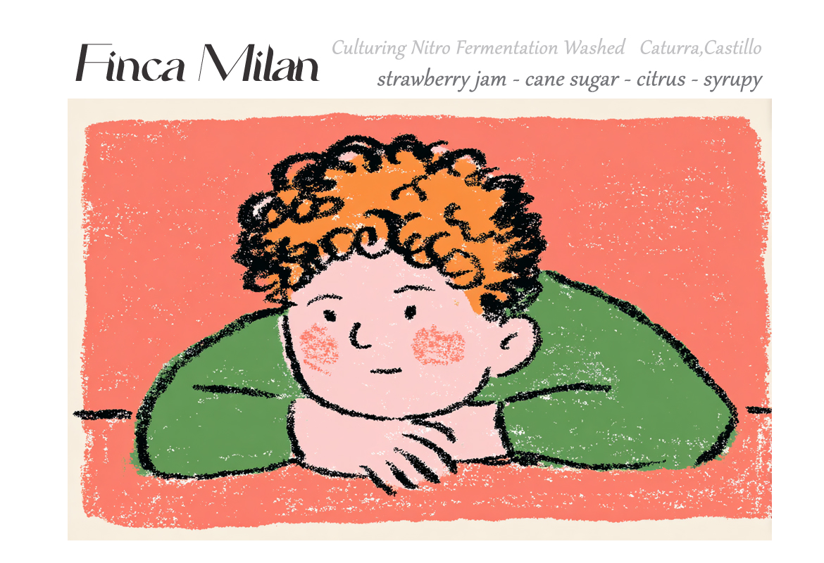 哥倫比亞Finca Milan 培養液氮氣發酵水洗 ｜草莓醬・蔗糖・柑橘・糖漿
