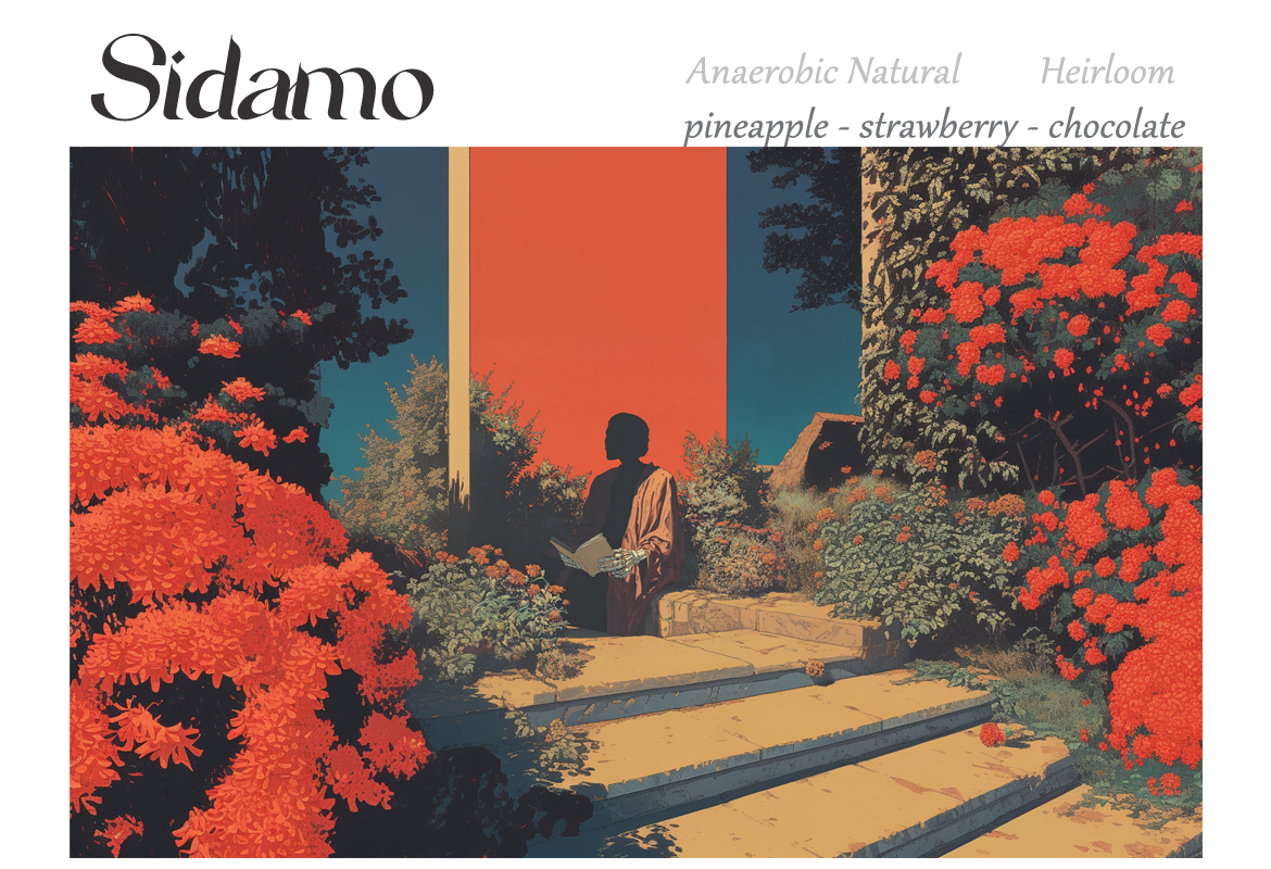 衣索比亞 Sidamo 日曬Heirloom｜菠蘿・草莓醬・黑朱古力