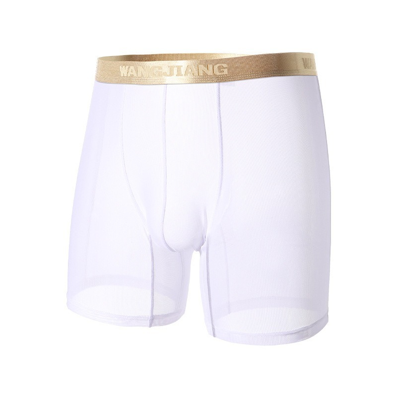 【性感網紗系列】24h自由呼吸~新款透明順滑加長款U凸性感男士內褲