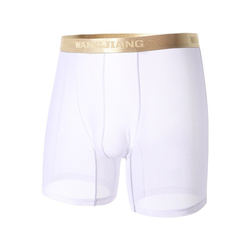 【性感網紗系列】24h自由呼吸~新款透明順滑加長款U凸性感男士內褲