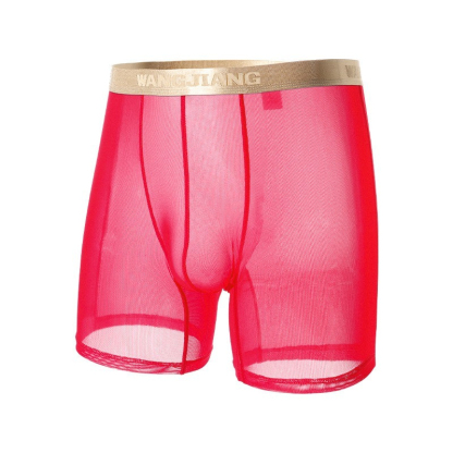 【性感網紗系列】24h自由呼吸~新款透明順滑加長款U凸性感男士內褲