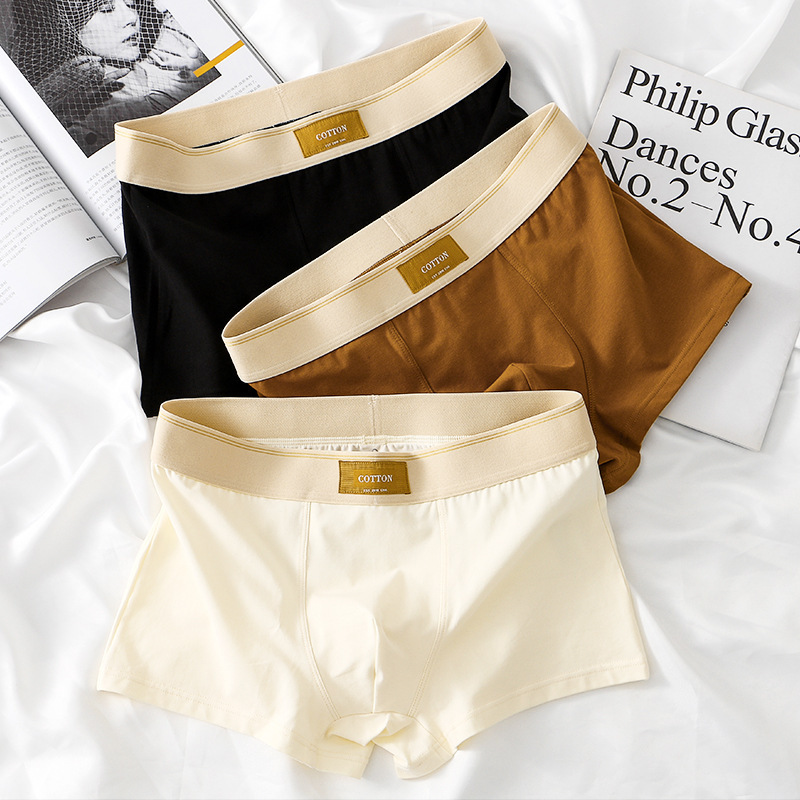 [Copy]【立體承托大空間】經典撞色純棉透大囊袋男士三角内褲