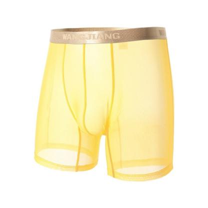 【性感網紗系列】24h自由呼吸~新款透明順滑加長款U凸性感男士內褲