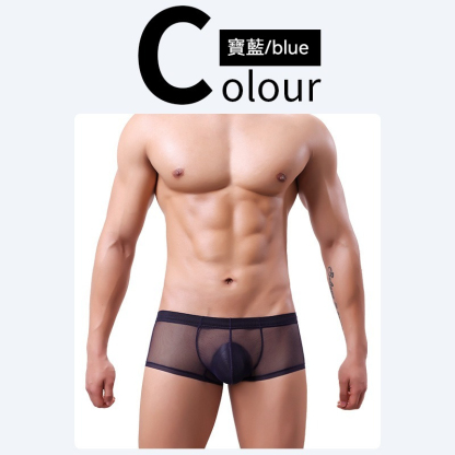【薄如蟬翼】20D冰絲網紗透氣性感小平角內褲