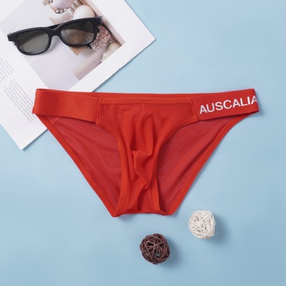 【輕盈網紗系列】超絕涼感冰絲U凸高叉時尚低腰三角男士內褲