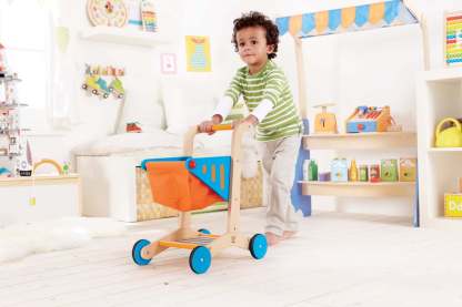 Hape Shopping Cart | 購物車 (3-8 歲)
