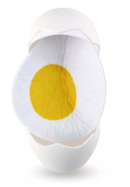 Hape Egg Carton | 雞蛋盒 (2-8 歲)