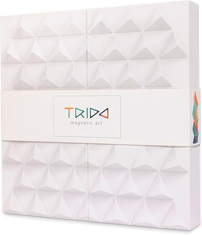 Trido Laguna 藝術 3D 磁性積木 (瀚海流光系列 高階版 - 36件套) STEM 玩具 | 所有面均可連接，無毒且通過 CE 認證 | 適合 3 歲以上兒童 🔥八折優惠 20%🔥