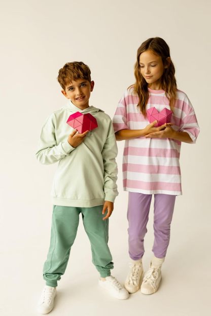 Trido 磁吸積木 - 綠野迷踪系列 (高階版 36組件) | STEM 玩具 | 3 歲或以上