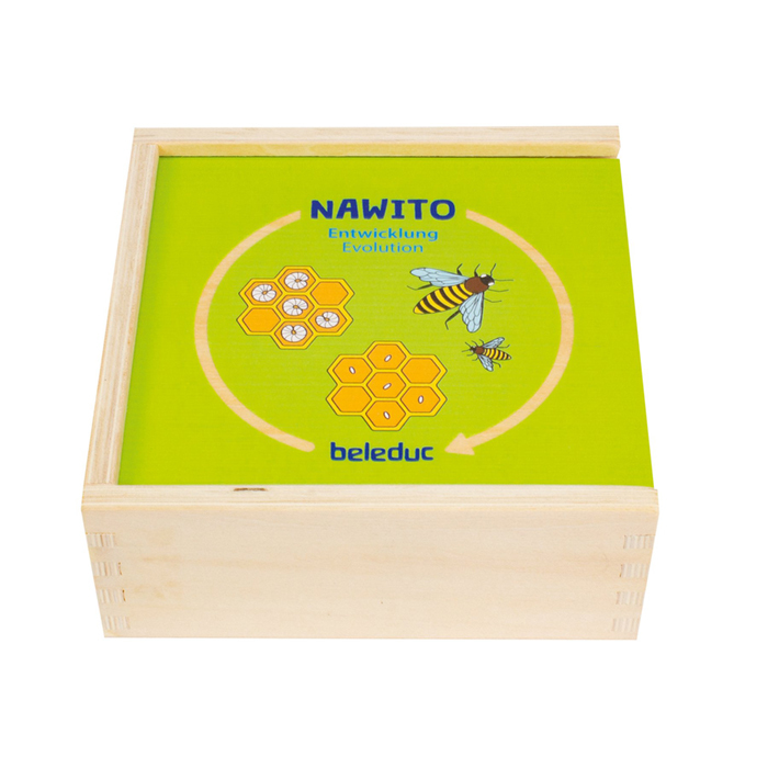 自然生長過程配對拼圖-Beleduc-Eurekakids