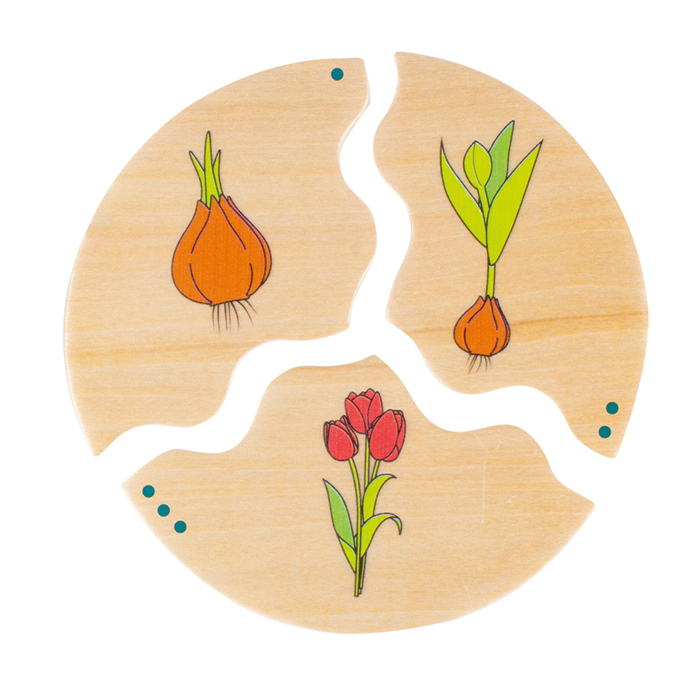 自然生長過程配對拼圖-Beleduc-Eurekakids