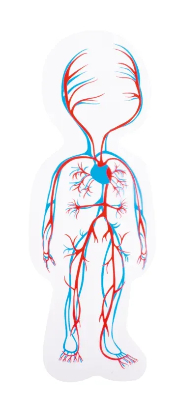 身體多層拼圖 - 女孩篇-Beleduc-Eurekakids