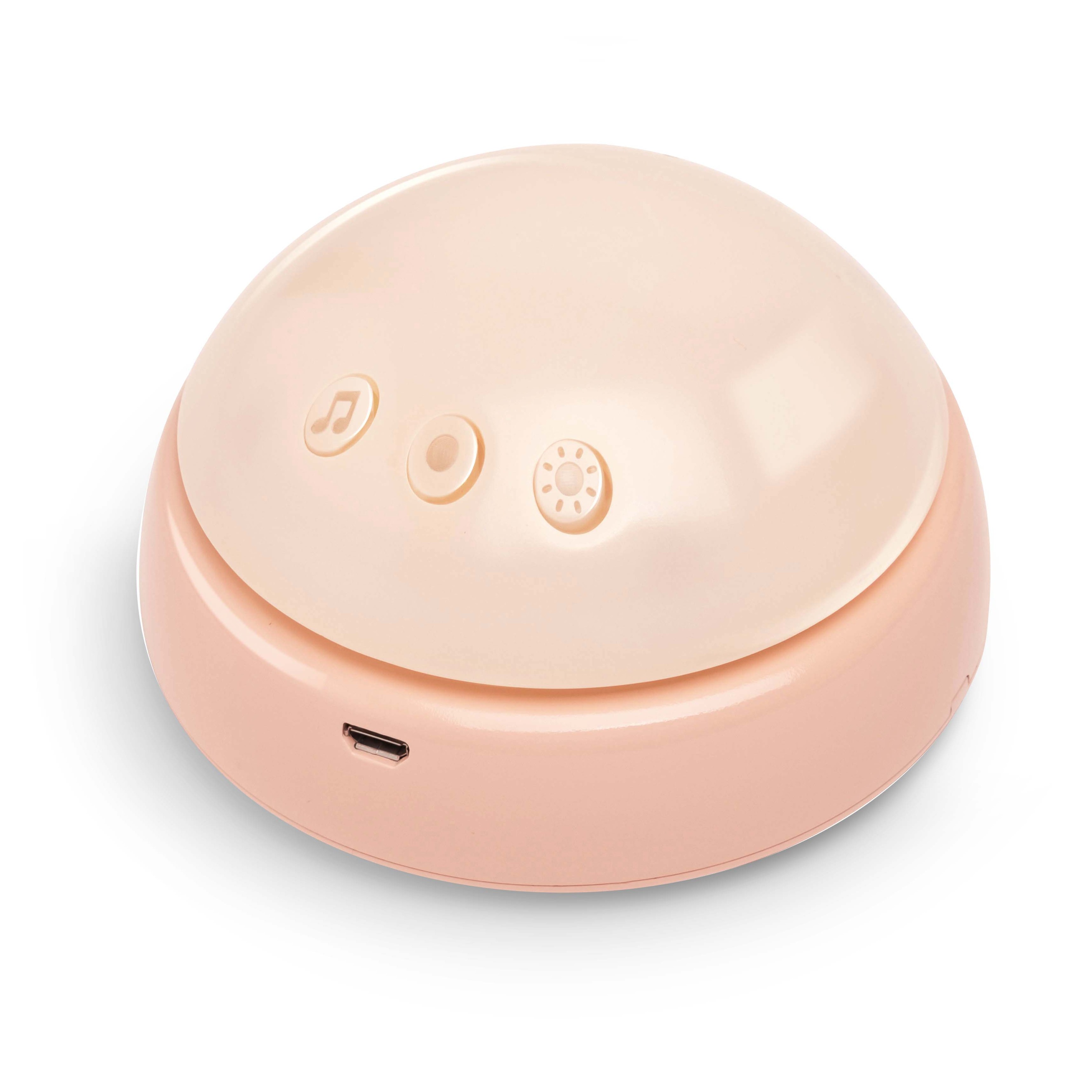 Hape 音樂抱抱兔Roro | 發展技能 | 感官知覺 | 7-12 個月 (new)