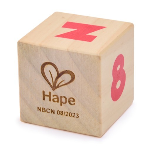 Hape 靜感軟矽積木10件 (6-24M)