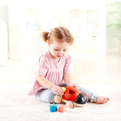 可愛瓢蟲造型的兒童拖拉玩具，配備易握拉繩與堅固輪子