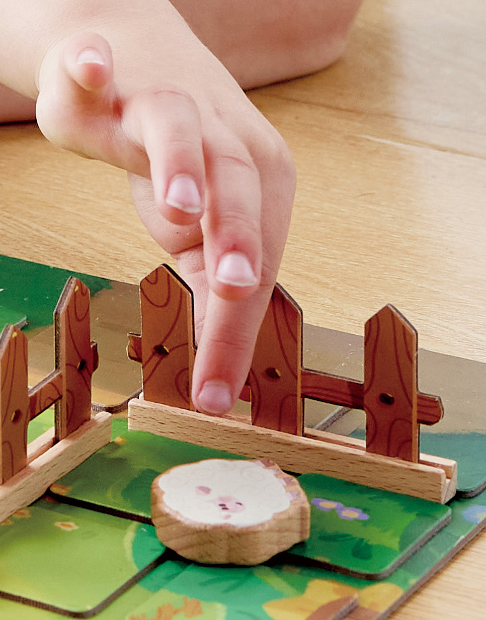 Hape 羊羊保衛戰丨 STEAM 玩具丨 數學小天才丨 5-6 歲