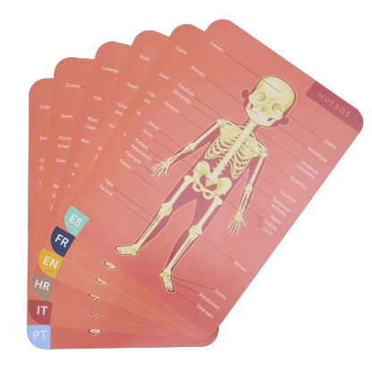 Eurekakid 人體磁性拼圖 100 件 (7 歲以上)