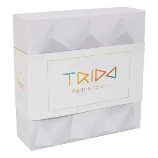 Trido Laguna 藝術 3D 磁性積木 (瀚海流光系列 基礎版 - 12件套) STEM 玩具 | 所有面均可連接，無毒且通過 CE 認證 | 適合 3 歲以上兒童 🔥八折優惠 20%🔥