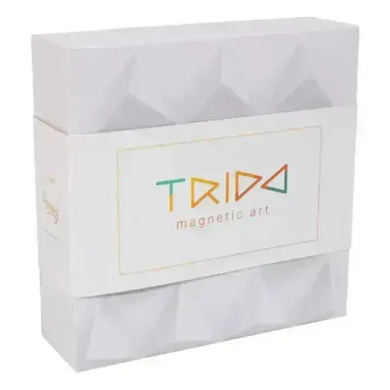 Trido Laguna 藝術 3D 磁性積木 (瀚海流光系列 基礎版 - 12件套) STEM 玩具 | 所有面均可連接，無毒且通過 CE 認證 | 適合 3 歲以上兒童 🔥八折優惠 20%🔥