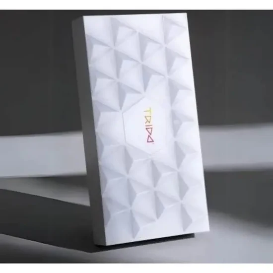 Trido Jungle 藝術 3D 磁性積木 (綠野迷踪系列 進階版 - 24件套) STEM 玩具 | 所有面均可連接，無毒且通過 CE 認證 | 適合 3 歲以上兒童 🔥八折優惠 20%🔥