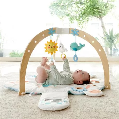 嬰幼兒抱抱熊活動健身架-Hape-Eurekakids