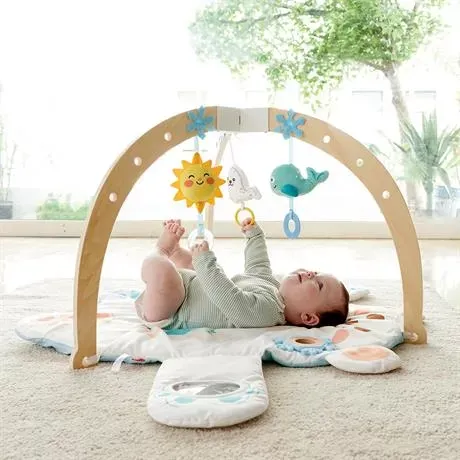 嬰幼兒抱抱熊活動健身架-Hape-Eurekakids