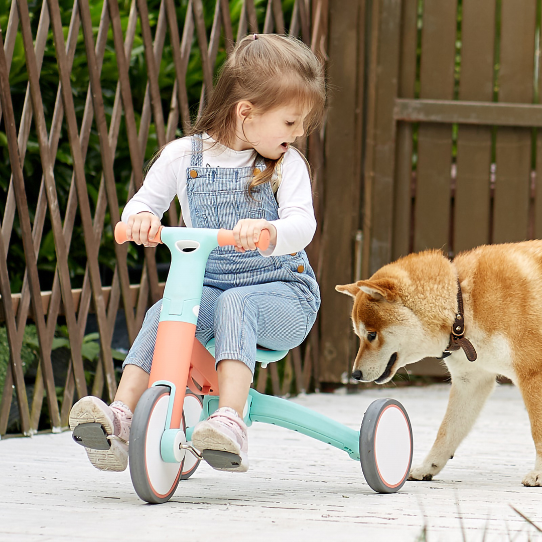 多功能摺疊 幼兒三合一平衡單車(紅綠色)-Hape-Eurekakids