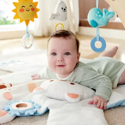嬰幼兒抱抱熊活動健身架-Hape-Eurekakids