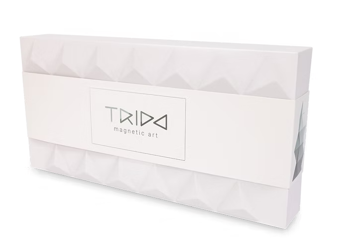 Trido Greyscal 藝術 3D 磁性積木 (白銀時代系列 進階版 - 24件套) STEM 玩具 | 所有面均可連接，無毒且通過 CE 認證 | 適合 3 歲以上兒童 🔥八折優惠 20%🔥