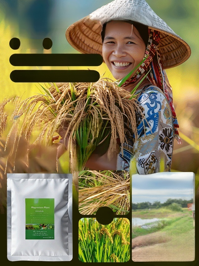 ใบไม้เหลืองกลับเขียว รักษาใบไม้เขียวด้วยการเติมปุ๋ยแมกนีเซียมอย่างรวดเร็ว🌾 การเติมแมกนีเซียมอย่างรวดเร็ว – แก้ปัญหาการขาดแมกนีเซียมของพืชได้อย่างรวดเร็วและมีประสิทธิภาพ ใบไม้กลับมาเขียวชอุ่ม