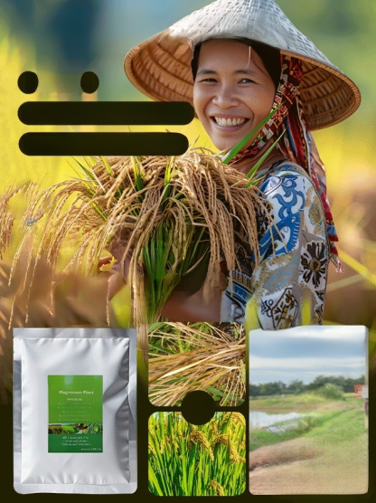 ใบไม้เหลืองกลับเขียว รักษาใบไม้เขียวด้วยการเติมปุ๋ยแมกนีเซียมอย่างรวดเร็ว🌾 การเติมแมกนีเซียมอย่างรวดเร็ว – แก้ปัญหาการขาดแมกนีเซียมของพืชได้อย่างรวดเร็วและมีประสิทธิภาพ ใบไม้กลับมาเขียวชอุ่ม