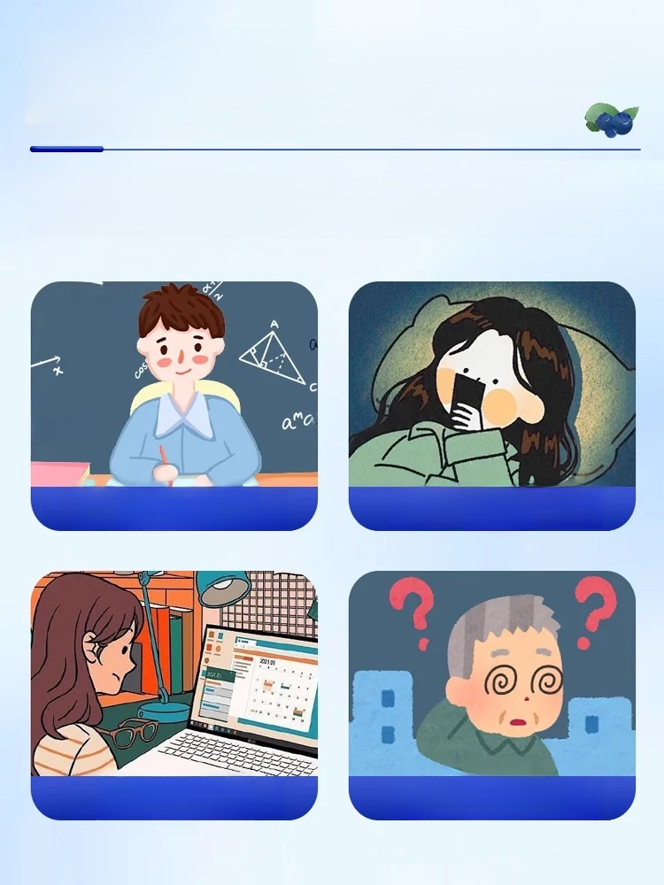 【ไต้หวัน】บลูเบอร์รี่อบแห้งเกรดพรีเมียมไม่มีน้ำตาล