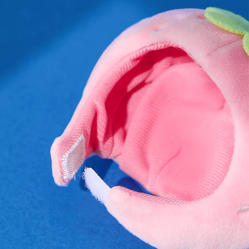 Stitch/Pooh/Lotso | Fruit Series | Mascot / Keychain