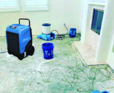 XPOWER XD-165L 除濕機