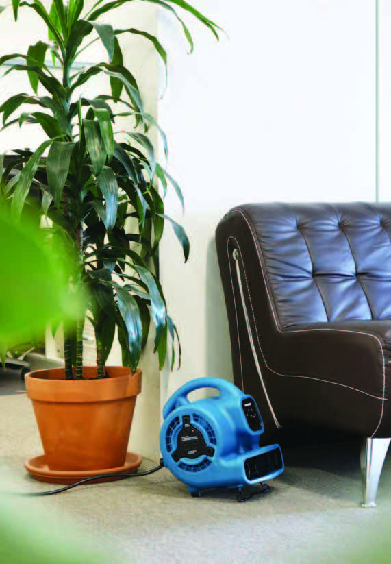 XPOWER P-230AT 迷你吹風機