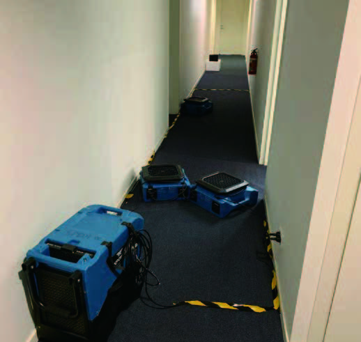 XPOWER XD-125L 除濕機