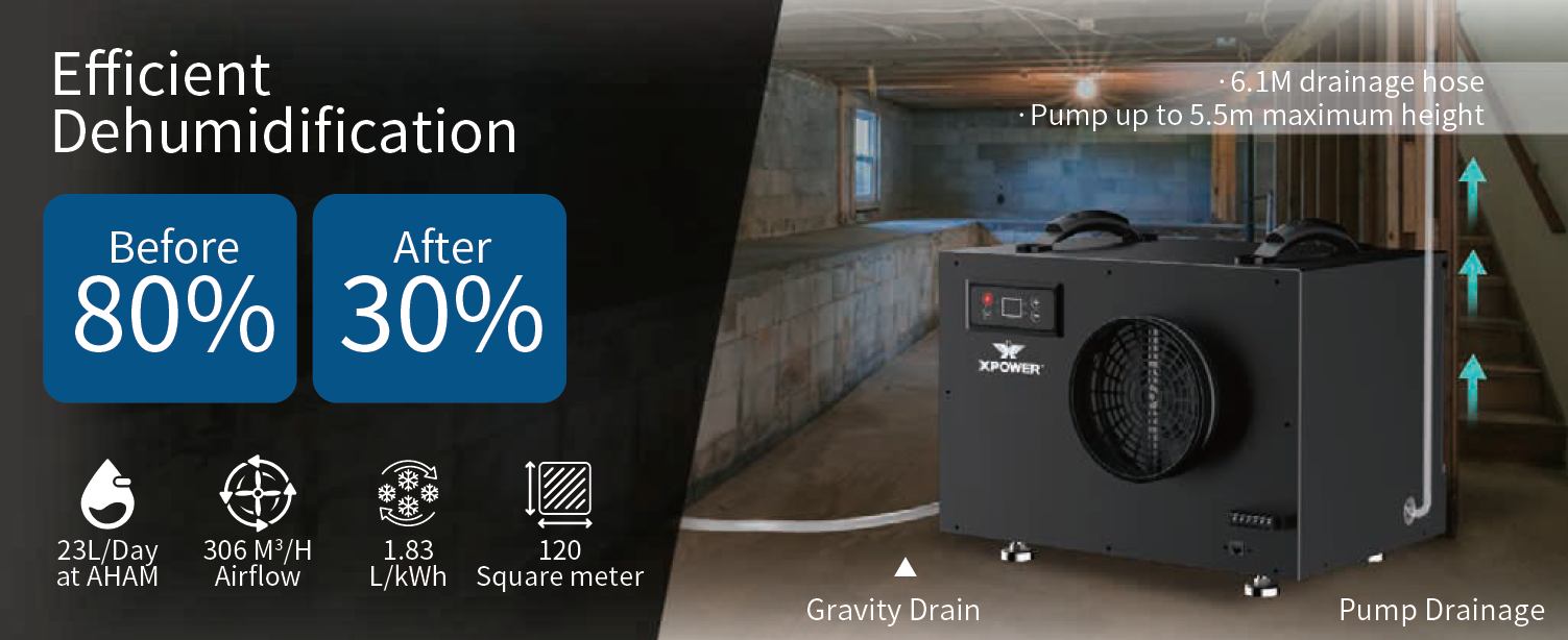 XPOWER BD-65 除濕機