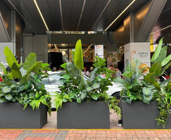 BLP-113 花箱設計