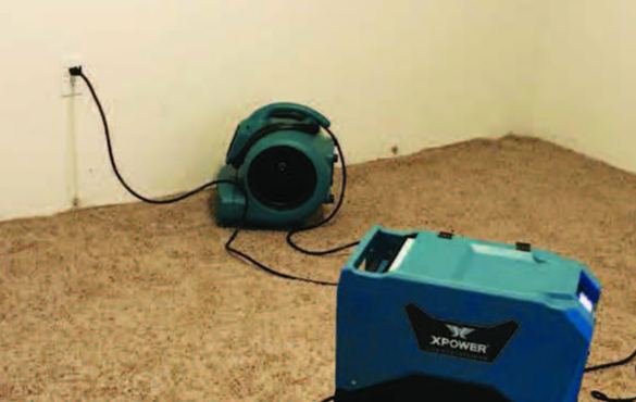 XPOWER P-80A 迷你吹風機