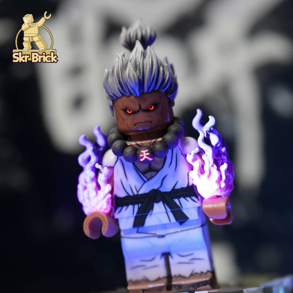 【Skr Brick】Street Fighter Akuma (Two Versions)