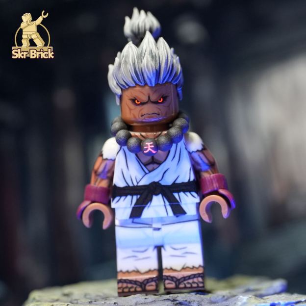 【Skr Brick】Street Fighter Akuma (Two Versions)