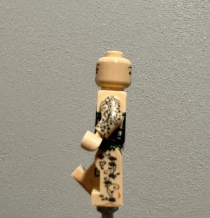 【Xiaotuan】Poison Ivy 毒藤女 포이즌 아이비【custom minifigures】