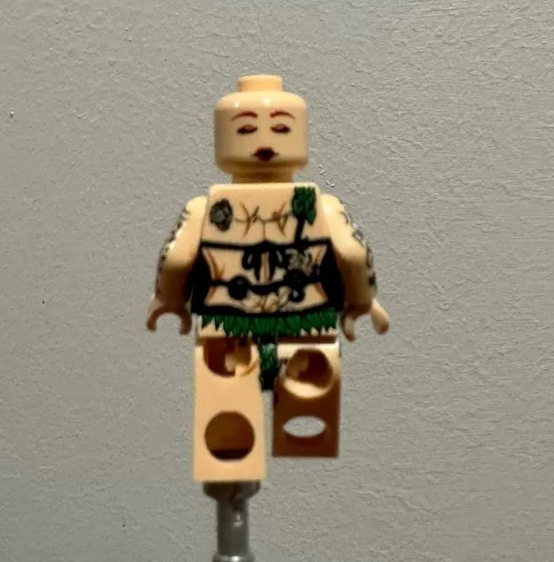 【Xiaotuan】Poison Ivy 毒藤女 포이즌 아이비【custom minifigures】
