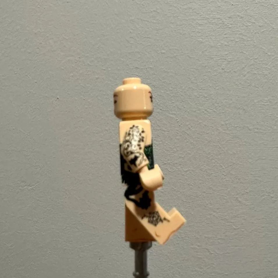 【Xiaotuan】Poison Ivy 毒藤女 포이즌 아이비【custom minifigures】