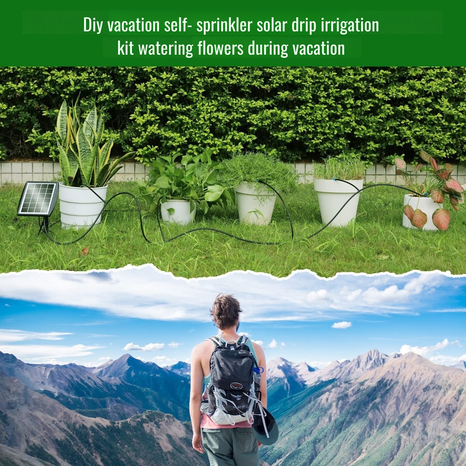 JMY solar irrigation system for vegetable gardens