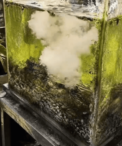 Honeycam 2026-06-10 17-19-14.gif